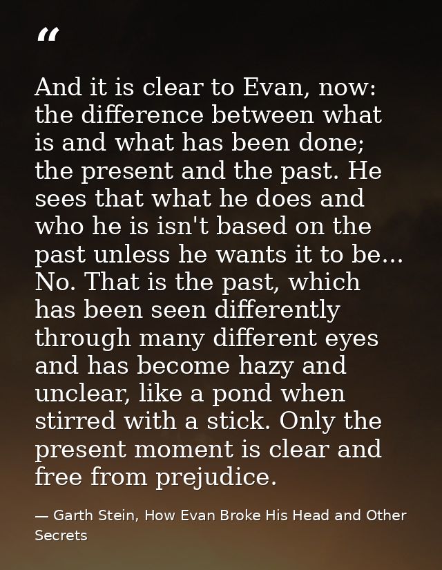 And it is clear to Evan, now: the difference between what is and what has been done; the present and the past. He sees t — Garth Stein, How Evan Broke His Head and Other Secrets