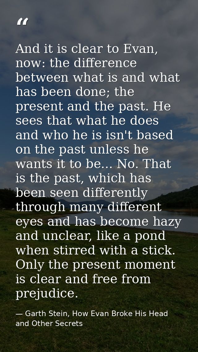 And it is clear to Evan, now: the difference between what is and what has been done; the present and the past. He sees t — Garth Stein, How Evan Broke His Head and Other Secrets