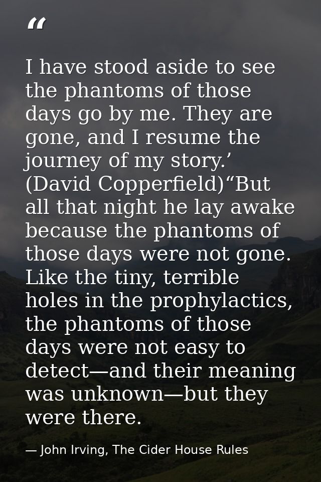 I have stood aside to see the phantoms of those days go by me. They are gone, and I resume the journey of my story.’ (Da — John Irving, The Cider House Rules