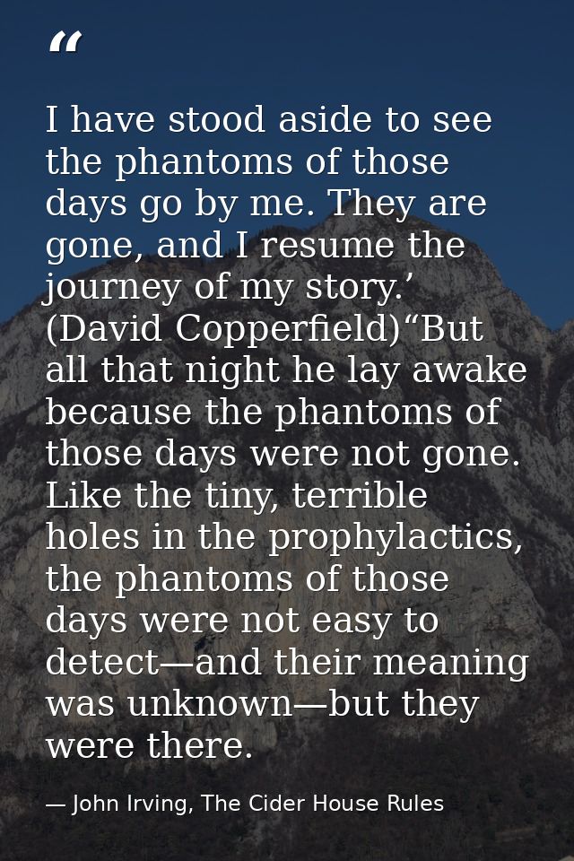 I have stood aside to see the phantoms of those days go by me. They are gone, and I resume the journey of my story.’ (Da — John Irving, The Cider House Rules