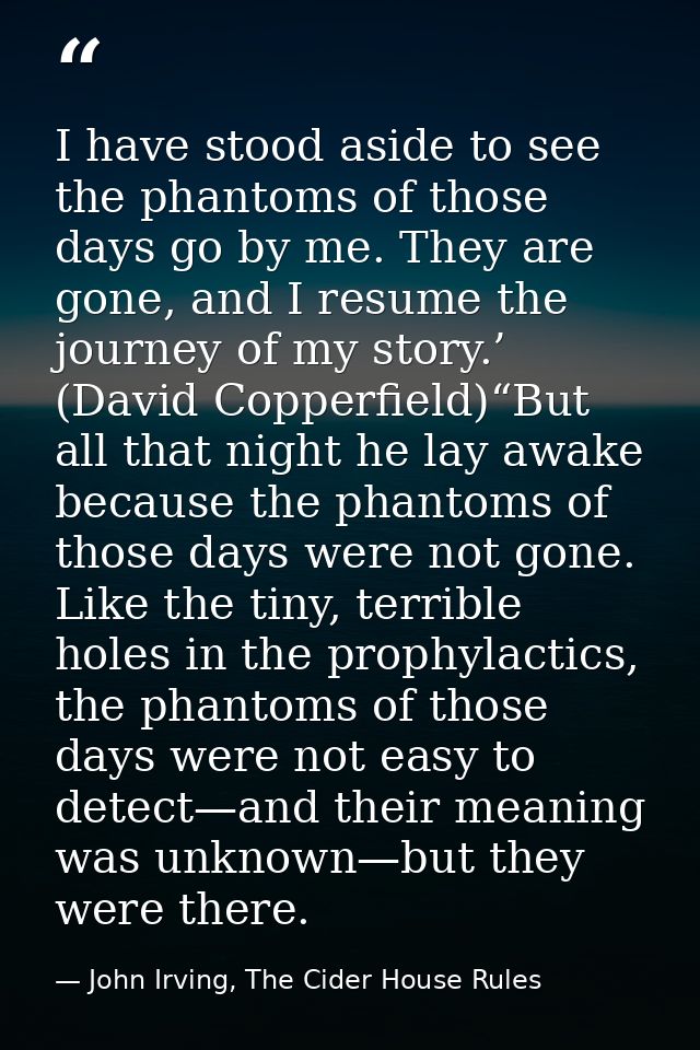 I have stood aside to see the phantoms of those days go by me. They are gone, and I resume the journey of my story.’ (Da — John Irving, The Cider House Rules