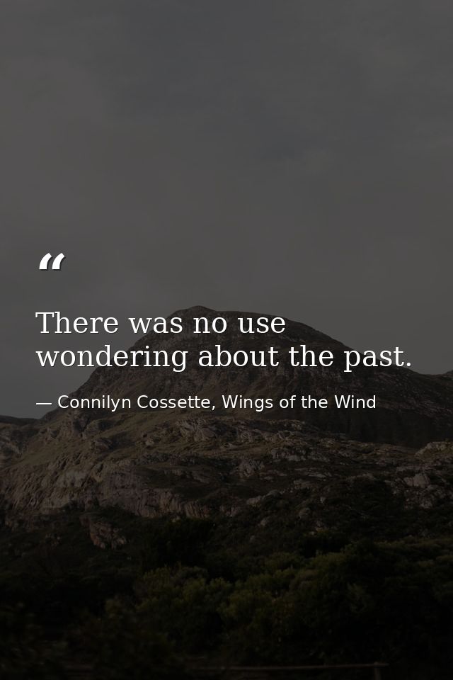 There was no use wondering about the past. — Connilyn Cossette, Wings of the Wind