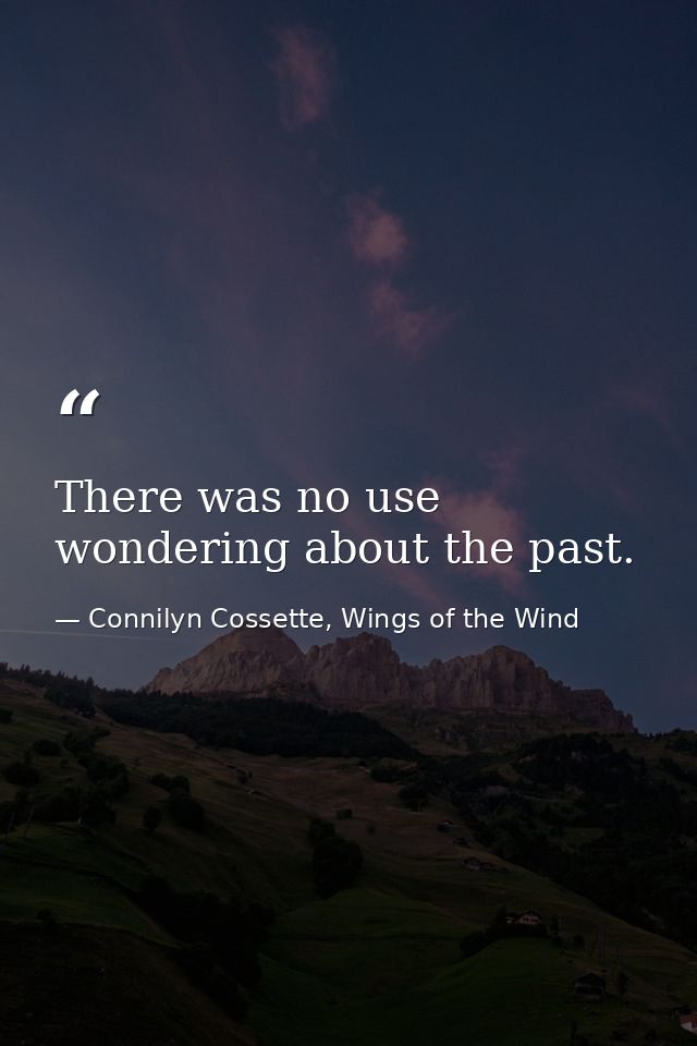 There was no use wondering about the past. — Connilyn Cossette, Wings of the Wind