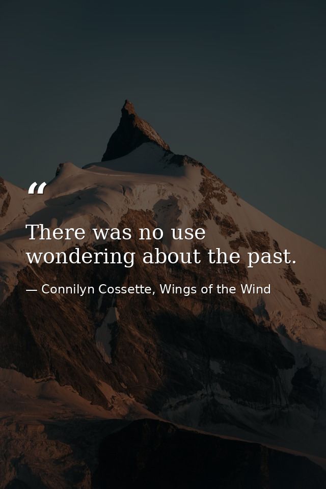 There was no use wondering about the past. — Connilyn Cossette, Wings of the Wind