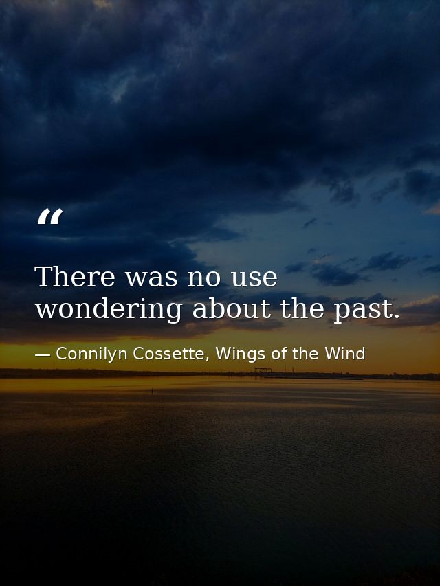 There was no use wondering about the past. — Connilyn Cossette, Wings of the Wind