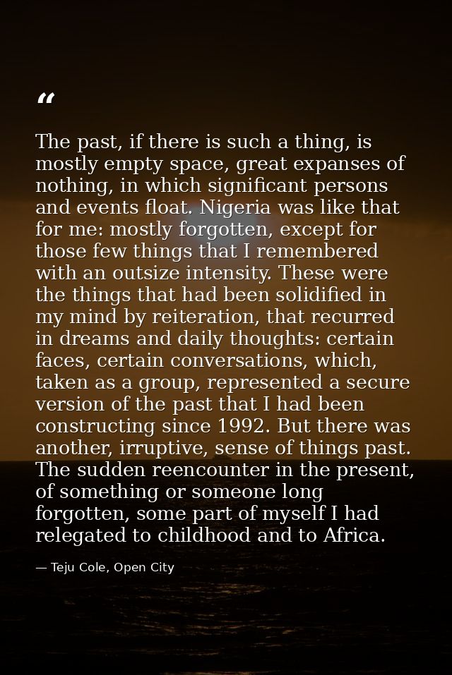 The past, if there is such a thing, is mostly empty space, great expanses of nothing, in which significant persons and e — Teju Cole, Open City