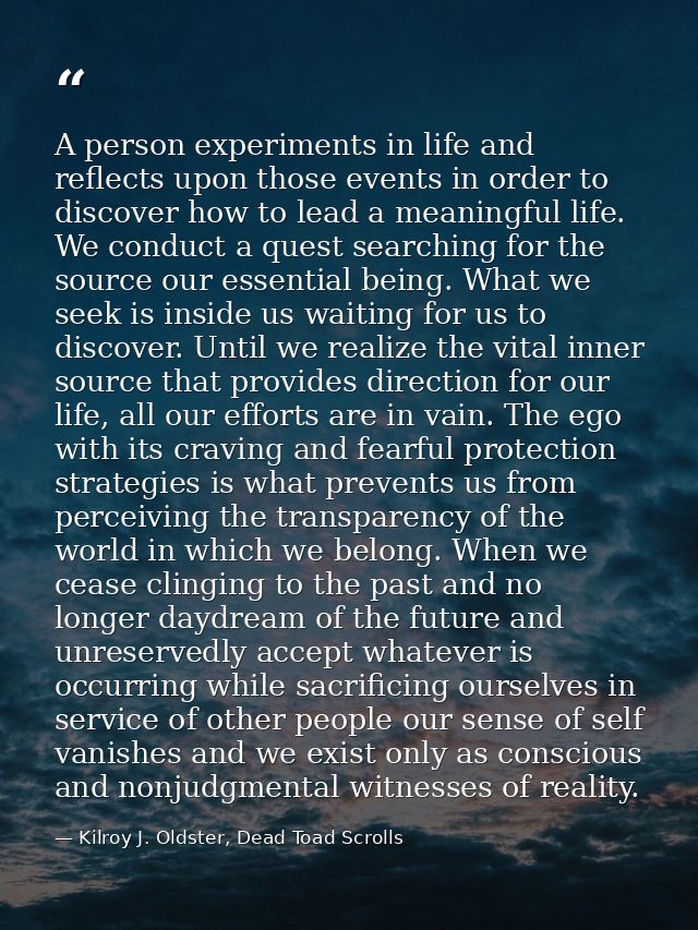A person experiments in life and reflects upon those events in order to discover how to lead a meaningful life. We condu — Kilroy J. Oldster, Dead Toad Scrolls