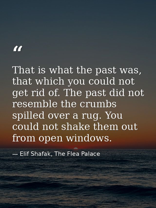That is what the past was, that which you could not get rid of. The past did not resemble the crumbs spilled over a rug. — Elif Shafak, The Flea Palace