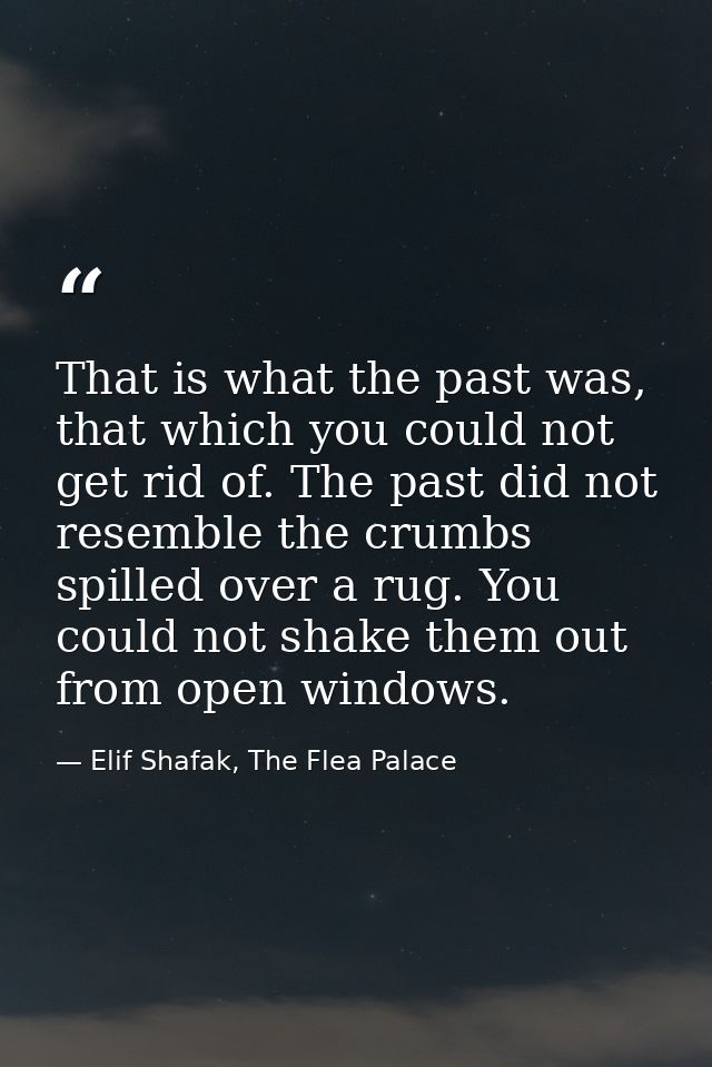 That is what the past was, that which you could not get rid of. The past did not resemble the crumbs spilled over a rug. — Elif Shafak, The Flea Palace