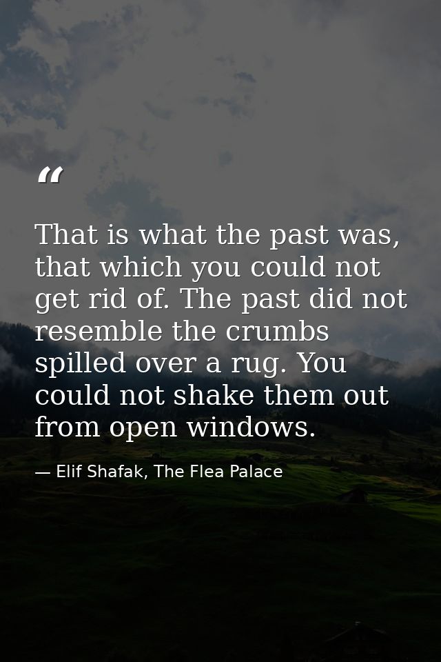 That is what the past was, that which you could not get rid of. The past did not resemble the crumbs spilled over a rug. — Elif Shafak, The Flea Palace