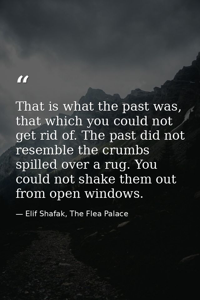 That is what the past was, that which you could not get rid of. The past did not resemble the crumbs spilled over a rug. — Elif Shafak, The Flea Palace