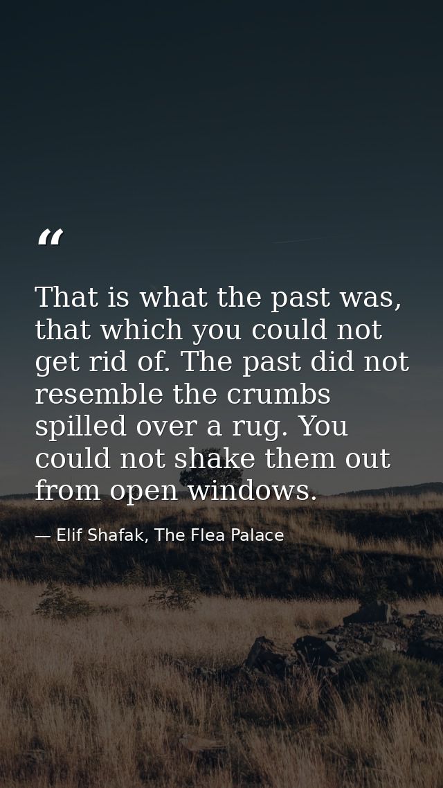 That is what the past was, that which you could not get rid of. The past did not resemble the crumbs spilled over a rug. — Elif Shafak, The Flea Palace