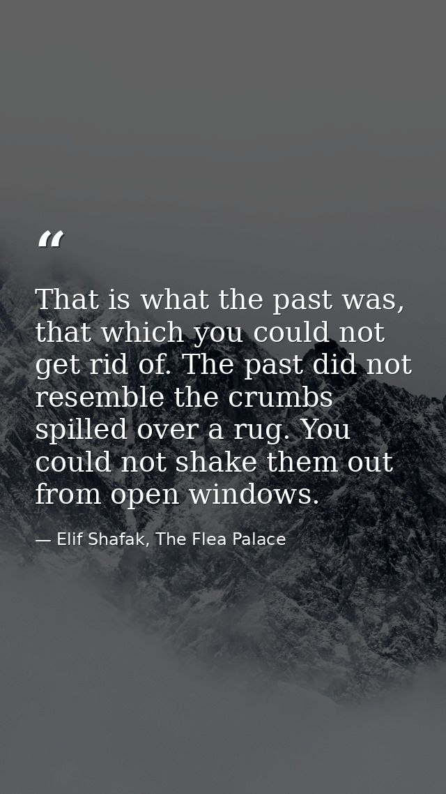 That is what the past was, that which you could not get rid of. The past did not resemble the crumbs spilled over a rug. — Elif Shafak, The Flea Palace