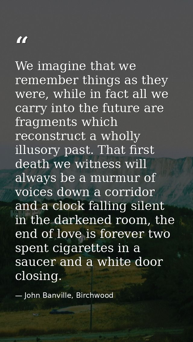 We imagine that we remember things as they were, while in fact all we carry into the future are fragments which reconstr — John Banville, Birchwood