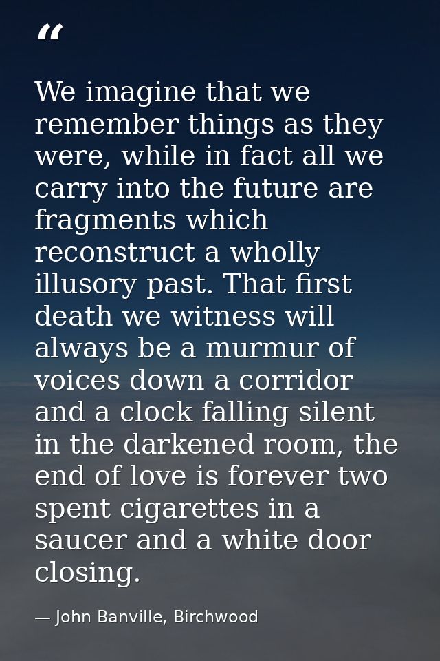 We imagine that we remember things as they were, while in fact all we carry into the future are fragments which reconstr — John Banville, Birchwood