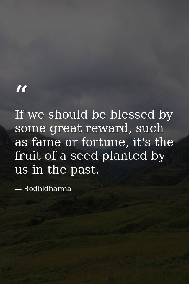 If we should be blessed by some great reward, such as fame or fortune, it's the fruit of a seed planted by us in the pas — Bodhidharma