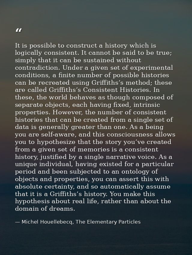 It is possible to construct a history which is logically consistent. It cannot be said to be true; simply that it can be — Michel Houellebecq, The Elementary Particles
