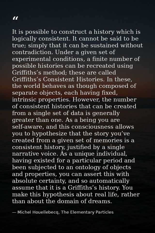 It is possible to construct a history which is logically consistent. It cannot be said to be true; simply that it can be — Michel Houellebecq, The Elementary Particles
