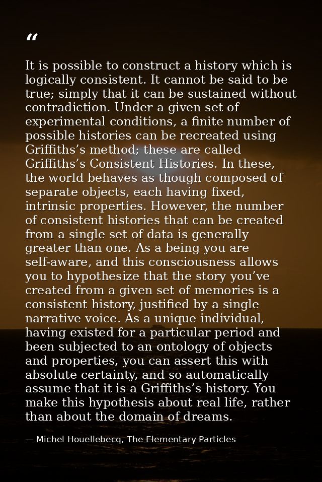 It is possible to construct a history which is logically consistent. It cannot be said to be true; simply that it can be — Michel Houellebecq, The Elementary Particles
