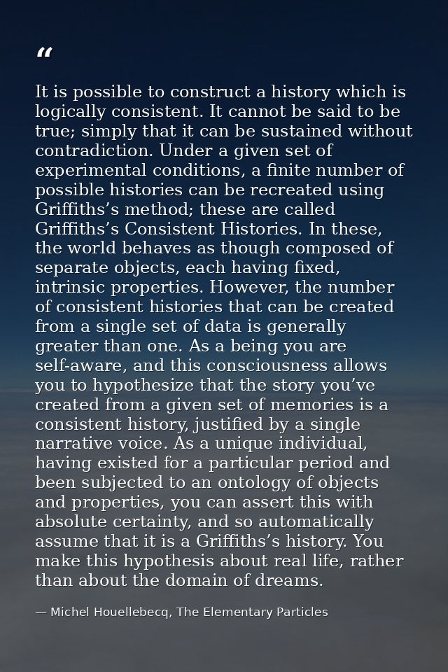 It is possible to construct a history which is logically consistent. It cannot be said to be true; simply that it can be — Michel Houellebecq, The Elementary Particles