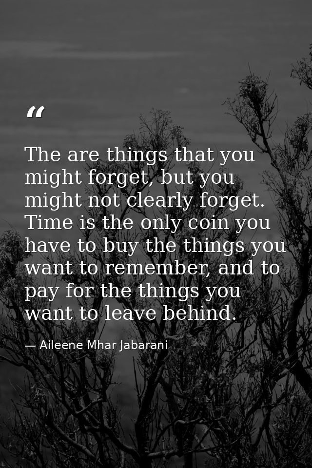 The are things that you might forget, but you might not clearly forget. Time is the only coin you have to buy the things — Aileene Mhar Jabarani