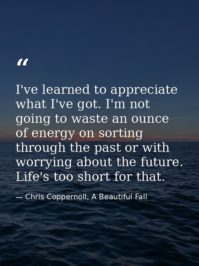I've learned to appreciate what I've got. I'm not going to waste an ounce of energy on sorting through the past or with  — Chris Coppernoll, A Beautiful Fall