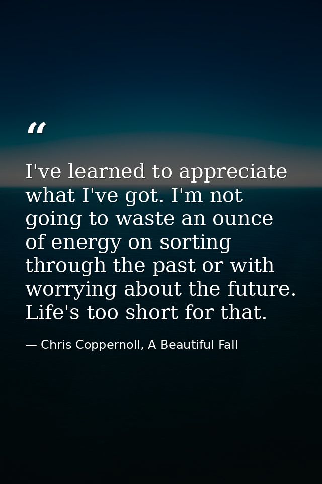 I've learned to appreciate what I've got. I'm not going to waste an ounce of energy on sorting through the past or with  — Chris Coppernoll, A Beautiful Fall