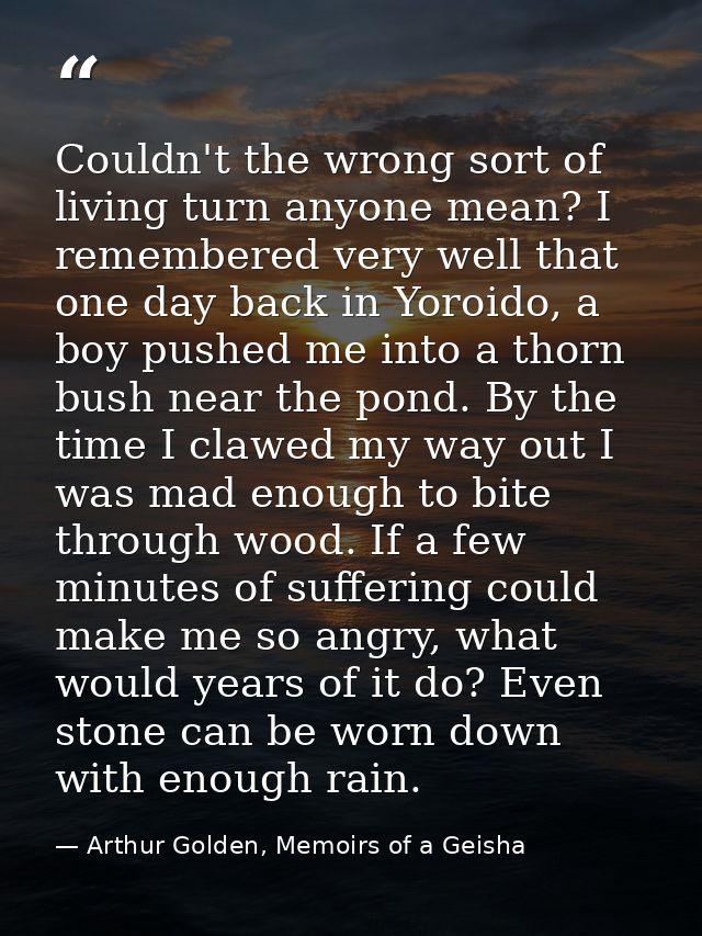 Couldn't the wrong sort of living turn anyone mean? I remembered very well that one day back in Yoroido, a boy pushed me — Arthur Golden, Memoirs of a Geisha