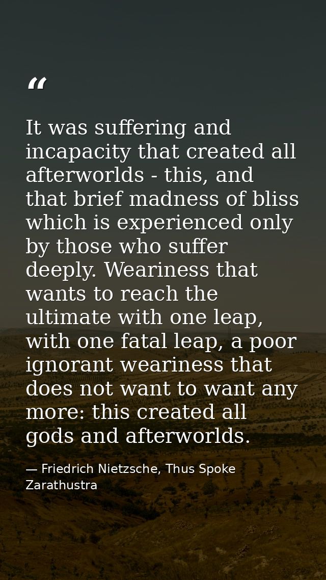 It was suffering and incapacity that created all afterworlds - this, and that brief madness of bliss which is experience — Friedrich Nietzsche, Thus Spoke Zarathustra
