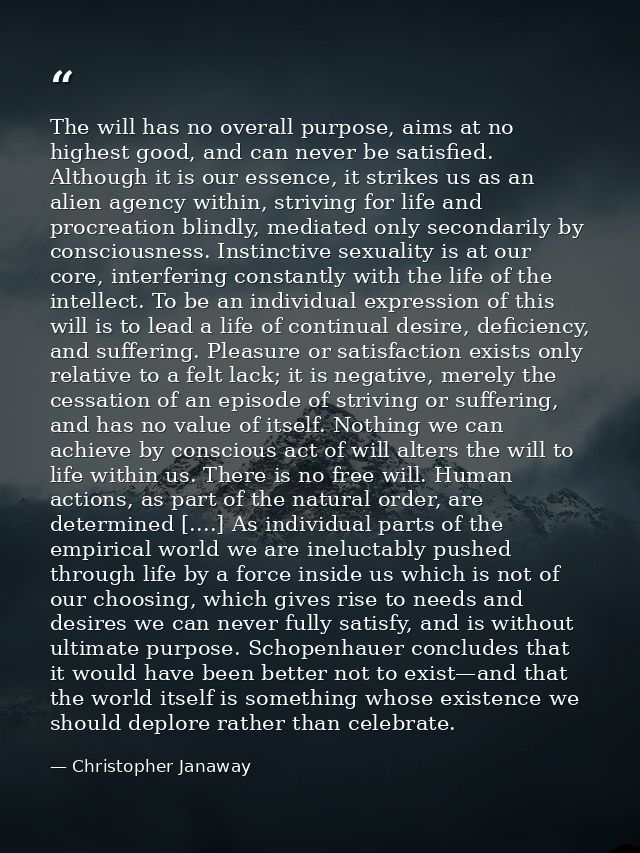 The will has no overall purpose, aims at no highest good, and can never be satisfied. Although it is our essence, it str — Christopher Janaway