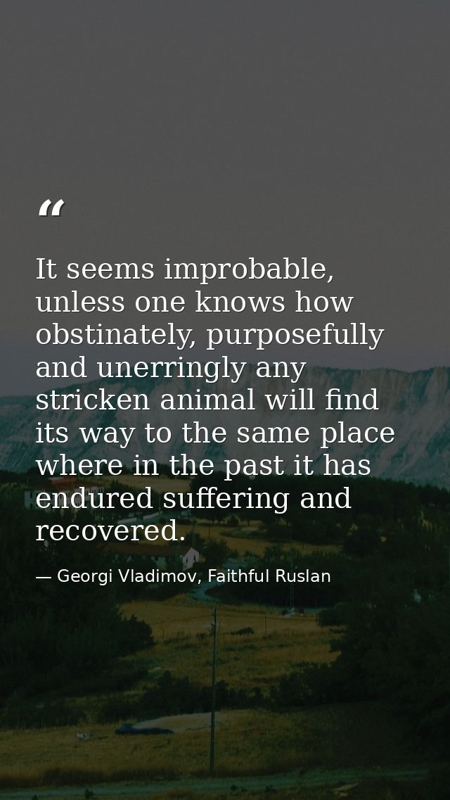 It seems improbable, unless one knows how obstinately, purposefully and unerringly any stricken animal will find its way — Georgi Vladimov, Faithful Ruslan