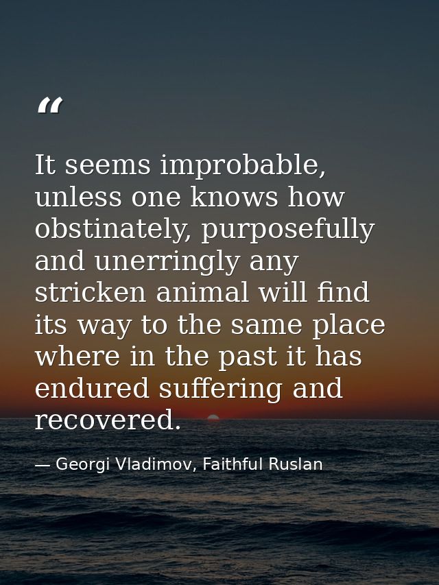 It seems improbable, unless one knows how obstinately, purposefully and unerringly any stricken animal will find its way — Georgi Vladimov, Faithful Ruslan