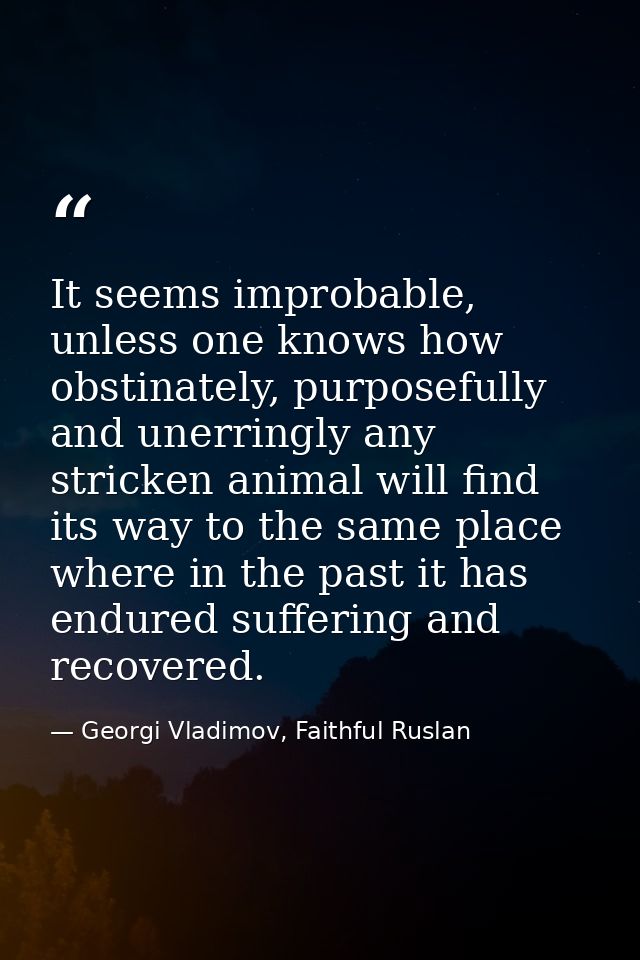 It seems improbable, unless one knows how obstinately, purposefully and unerringly any stricken animal will find its way — Georgi Vladimov, Faithful Ruslan