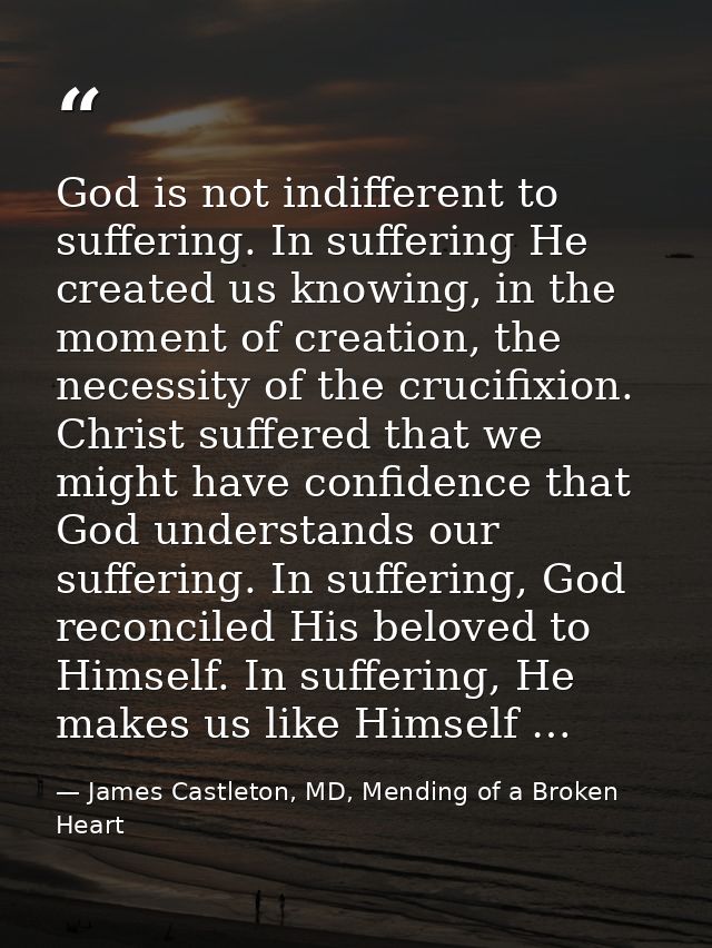 God is not indifferent to suffering. In suffering He created us knowing, in the moment of creation, the necessity of the — James Castleton, MD, Mending of a Broken Heart