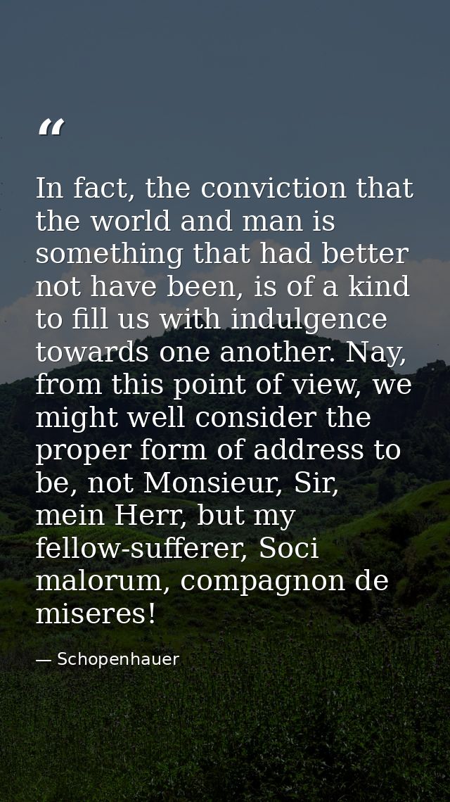 In fact, the conviction that the world and man is something that had better not have been, is of a kind to fill us with  — Schopenhauer