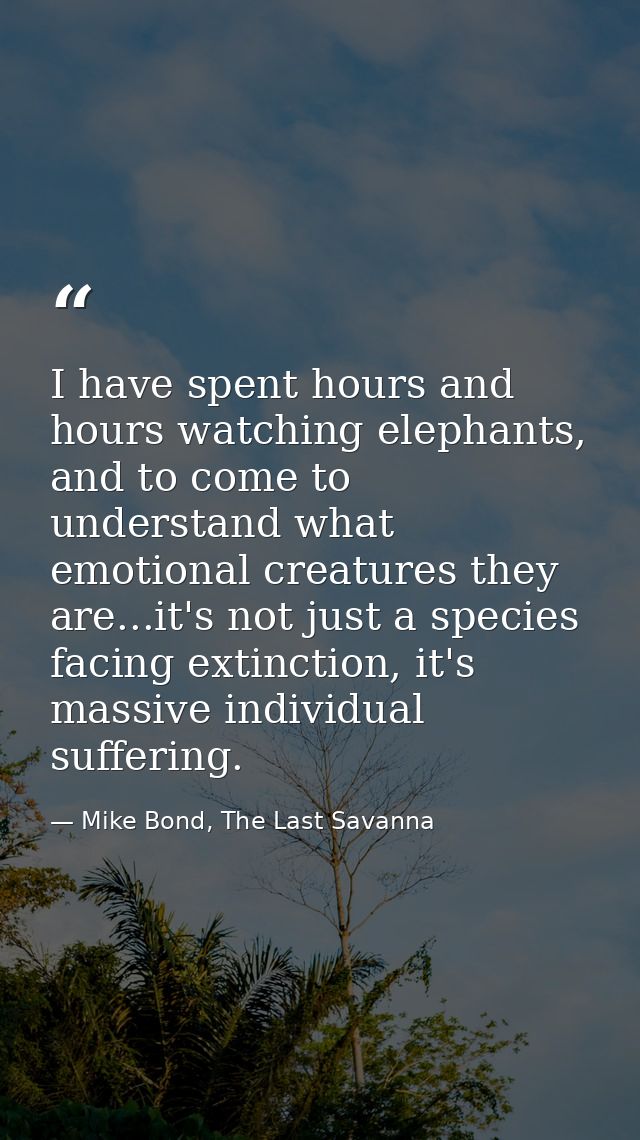 I have spent hours and hours watching elephants, and to come to understand what emotional creatures they are...it's not  — Mike Bond, The Last Savanna
