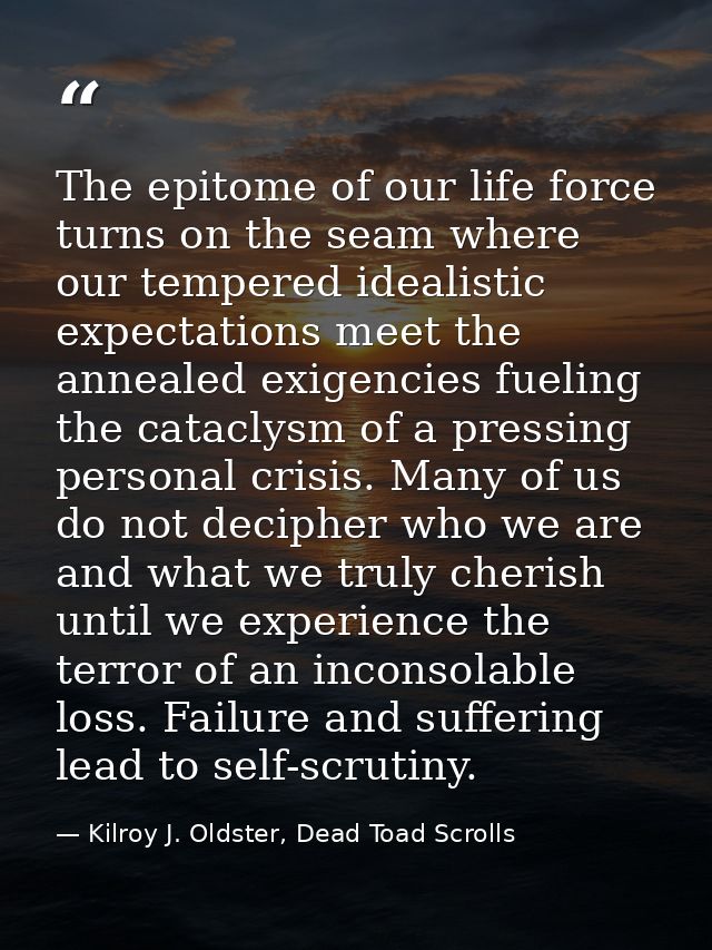 The epitome of our life force turns on the seam where our tempered idealistic expectations meet the annealed exigencies  — Kilroy J. Oldster, Dead Toad Scrolls