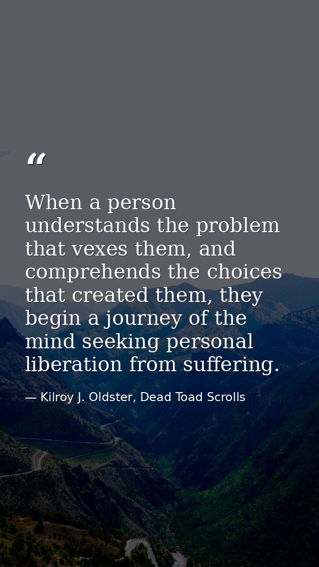 When a person understands the problem that vexes them, and comprehends the choices that created them, they begin a journ — Kilroy J. Oldster, Dead Toad Scrolls