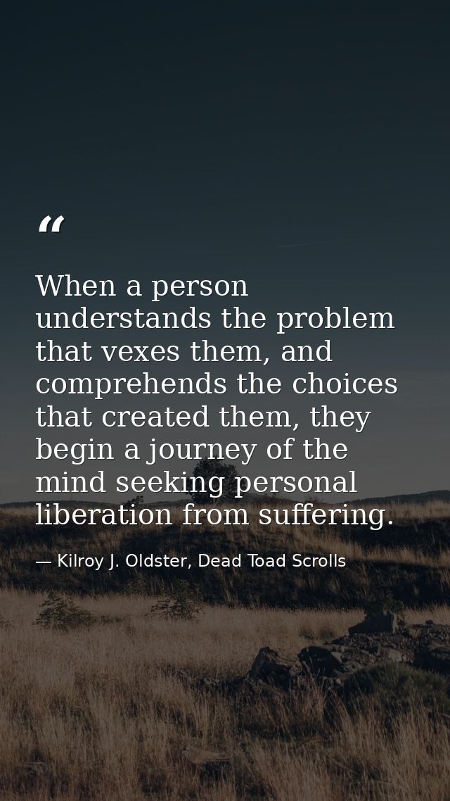 When a person understands the problem that vexes them, and comprehends the choices that created them, they begin a journ — Kilroy J. Oldster, Dead Toad Scrolls
