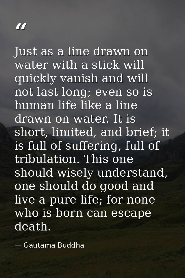 Just as a line drawn on water with a stick will quickly vanish and will not last long; even so is human life like a line — Gautama Buddha