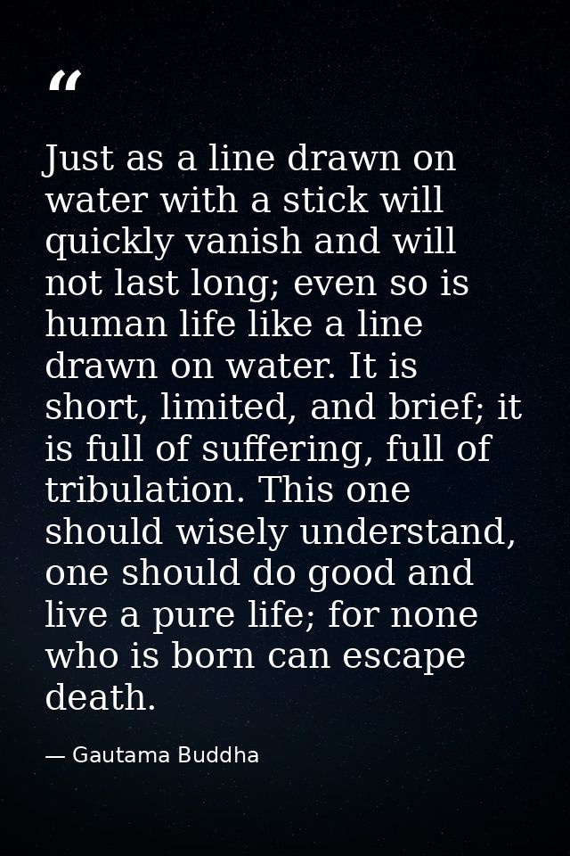 Just as a line drawn on water with a stick will quickly vanish and will not last long; even so is human life like a line — Gautama Buddha