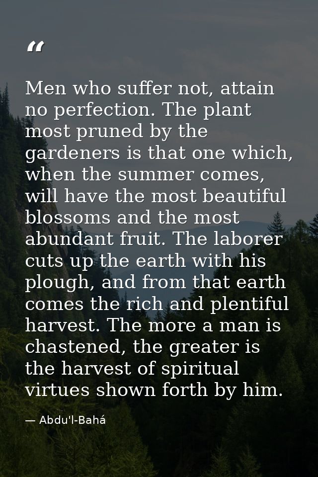 Men who suffer not, attain no perfection. The plant most pruned by the gardeners is that one which, when the summer come — Abdu'l-Bahá