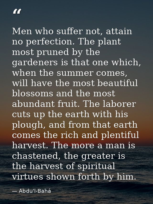Men who suffer not, attain no perfection. The plant most pruned by the gardeners is that one which, when the summer come — Abdu'l-Bahá