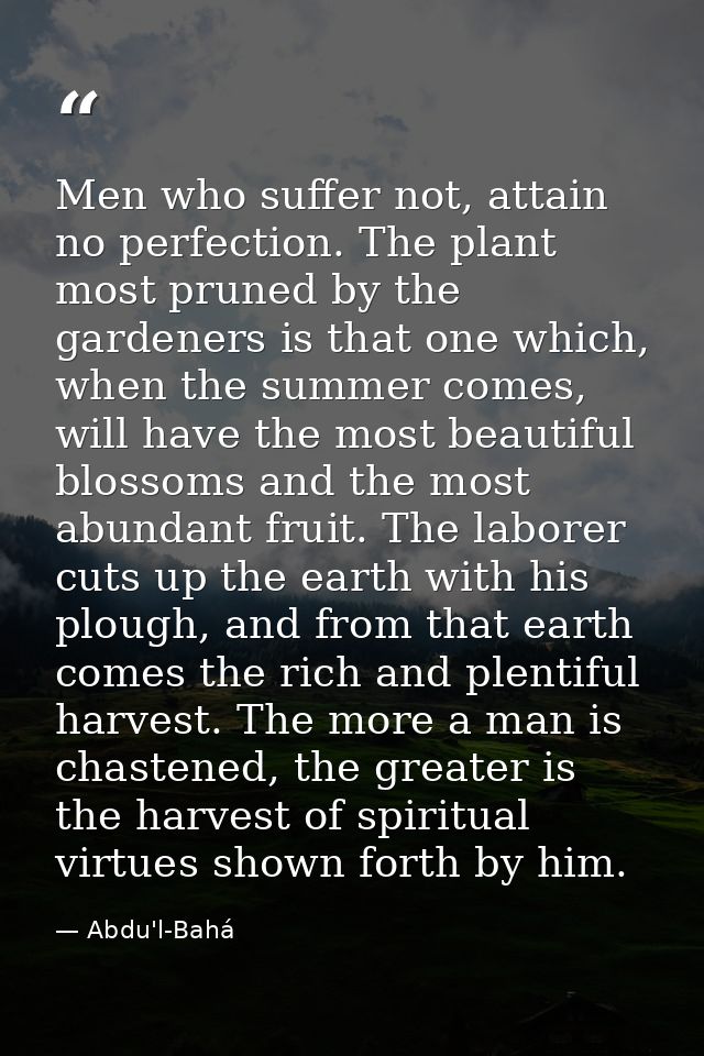 Men who suffer not, attain no perfection. The plant most pruned by the gardeners is that one which, when the summer come — Abdu'l-Bahá