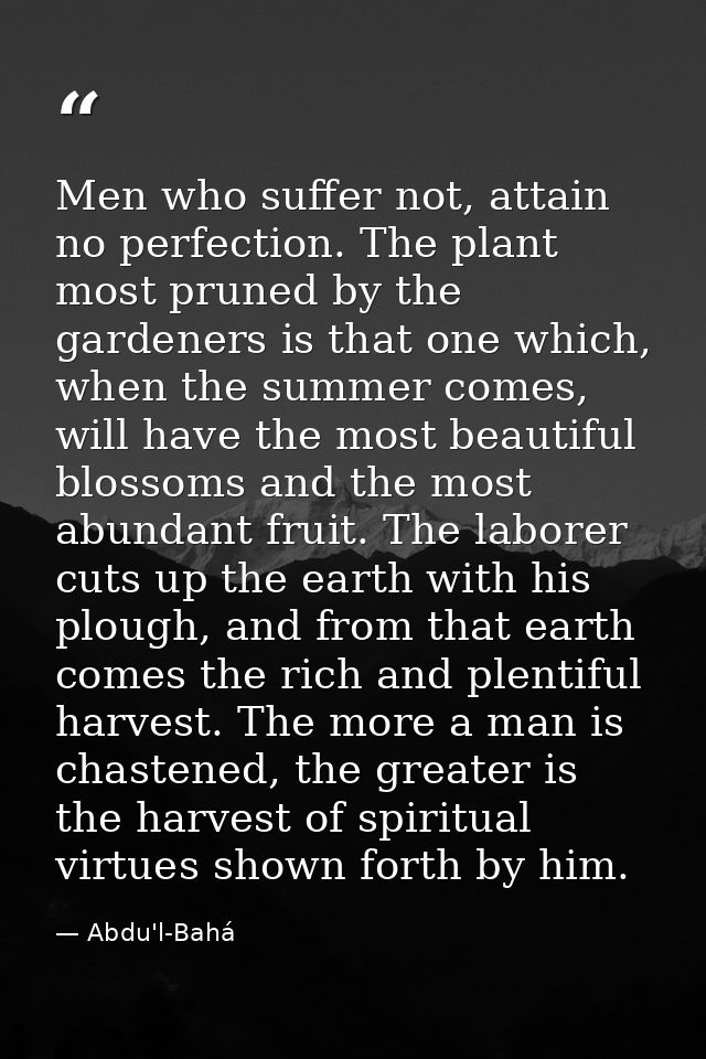Men who suffer not, attain no perfection. The plant most pruned by the gardeners is that one which, when the summer come — Abdu'l-Bahá