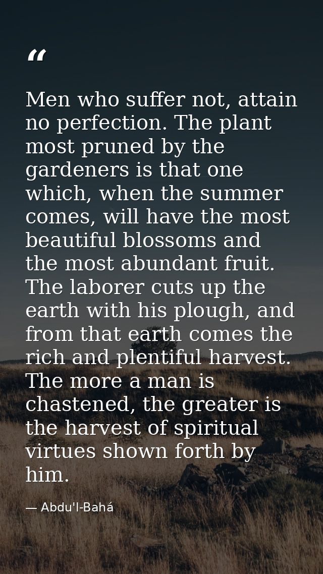 Men who suffer not, attain no perfection. The plant most pruned by the gardeners is that one which, when the summer come — Abdu'l-Bahá