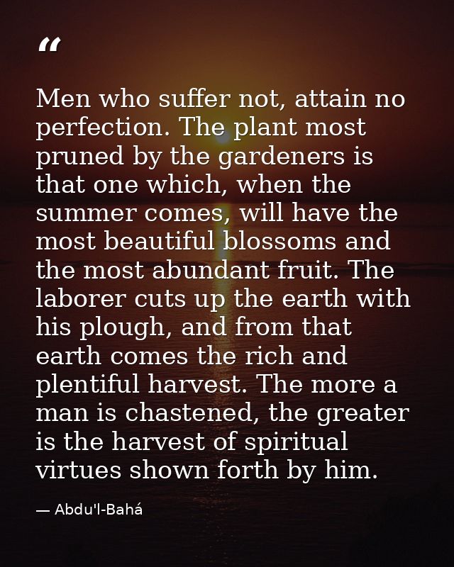 Men who suffer not, attain no perfection. The plant most pruned by the gardeners is that one which, when the summer come — Abdu'l-Bahá