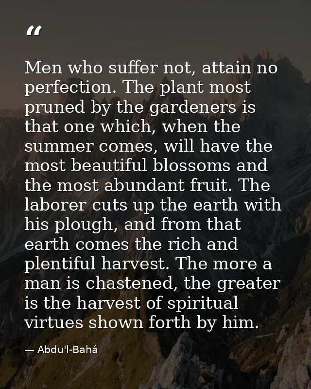 Men who suffer not, attain no perfection. The plant most pruned by the gardeners is that one which, when the summer come — Abdu'l-Bahá