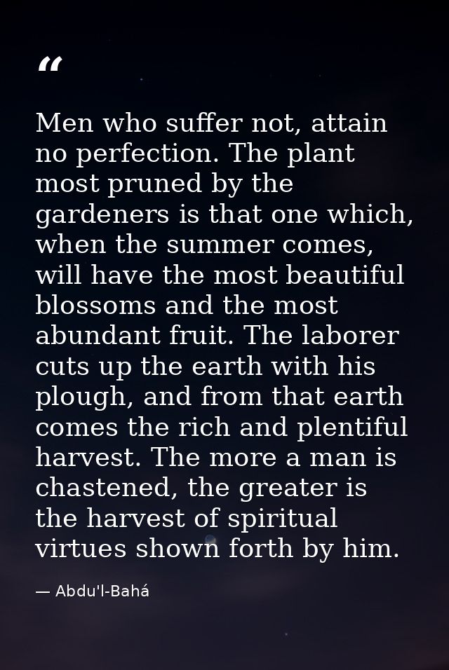Men who suffer not, attain no perfection. The plant most pruned by the gardeners is that one which, when the summer come — Abdu'l-Bahá