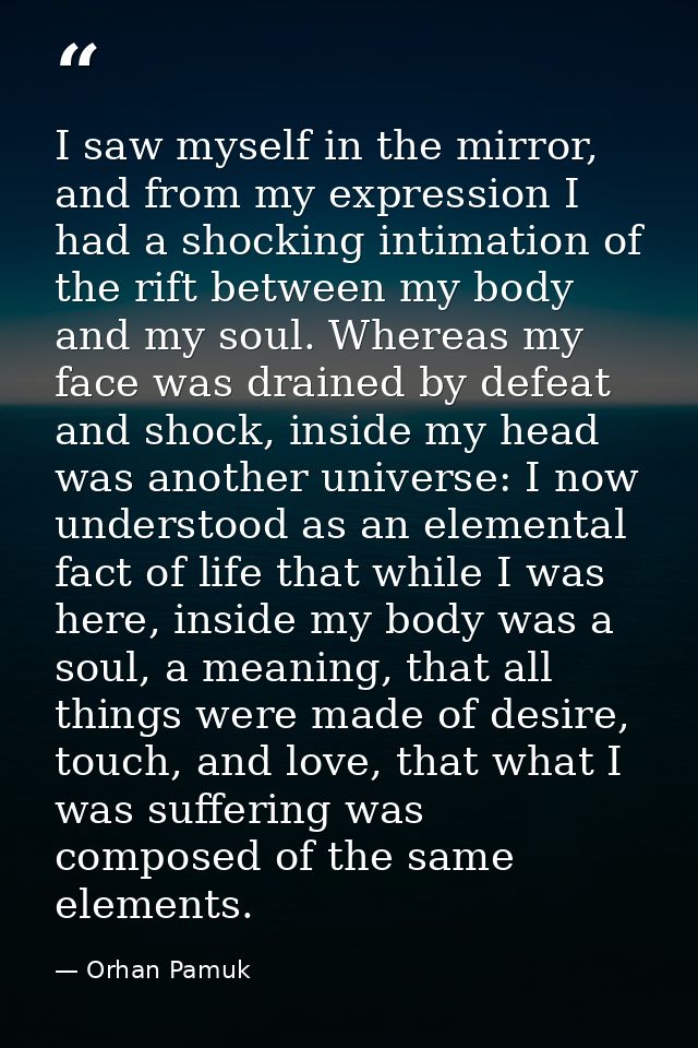 I saw myself in the mirror, and from my expression I had a shocking intimation of the rift between my body and my soul.  — Orhan Pamuk